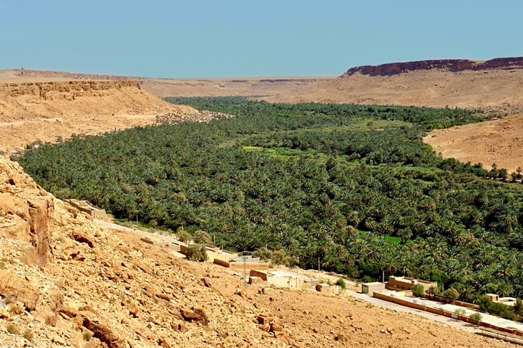 Oases op weg naar Erfoud - Marokko